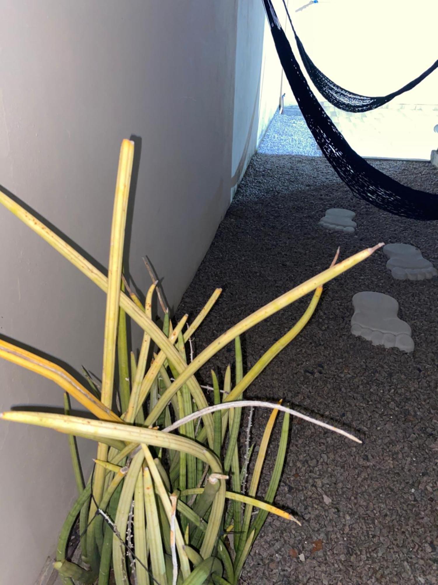 Sobrado Luar Dos Carneiros 1 Tamandare Bech Villa Exteriör bild